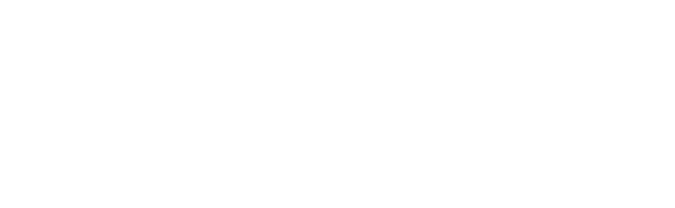 morlinbroneyewear